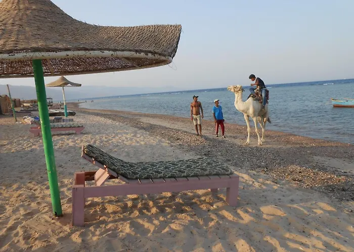 Bed and breakfast Africa Beach Camp Nuweiba`